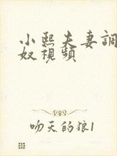 小熙夫妻调教男奴视频