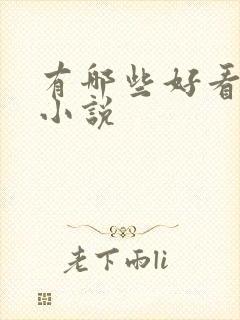 有哪些好看的h小说