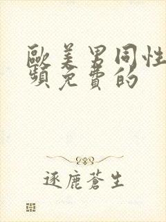 欧美男同性恋视频免费的封面