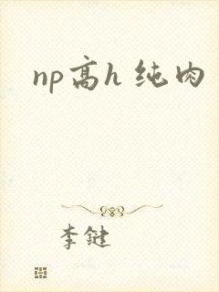 np高h 纯肉封面