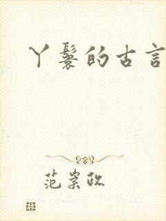 丫鬟的古言小说封面