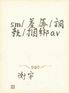 sm/羞辱/调教/捆绑av封面