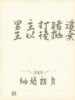 男主打赌追到女主以后抛弃的小说