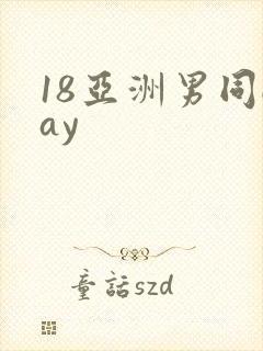 18亚洲男同gay封面