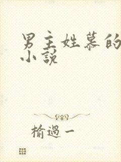 男主姓慕的现代小说