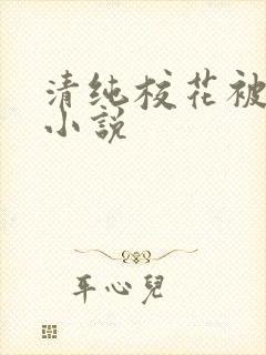 清纯校花被调教小说