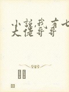 小说,我有七个大佬哥哥