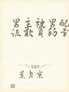 男主被男配们轮流欺负的章节更新时