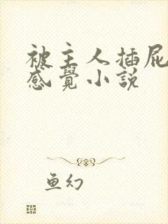 被主人插屁眼的感觉小说封面