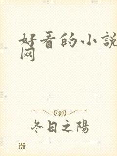 好看的小说阅读网