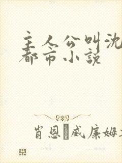 主人公叫沈淮的都市小说