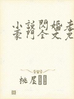 小说闪婚老公是豪门全文免费阅读