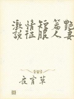 激情短篇艳情小说征服人妻