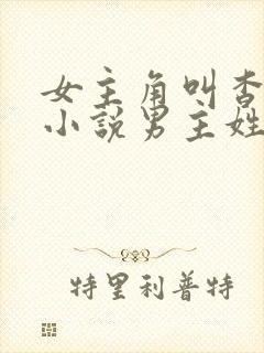 女主角叫杳杳的小说男主姓顾