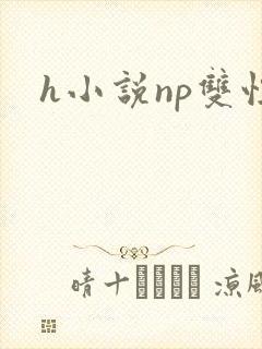h小说np双性
