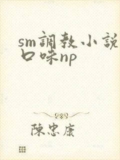 sm调教小说重口味np