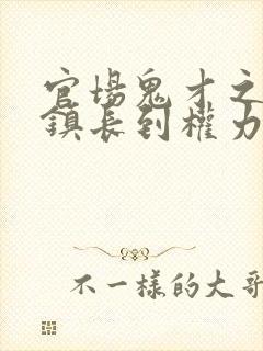 官场鬼才之从副镇长到权力巅峰