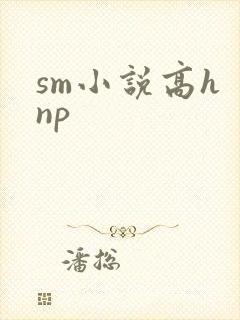 sm小说高h np
