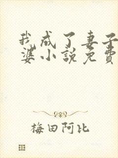 我成了妻子的老婆小说免费阅读全文