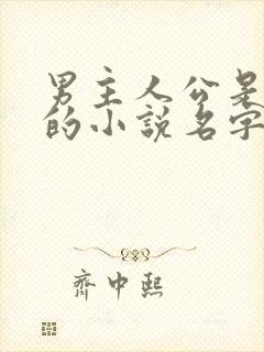 男主人公是郑浩的小说名字