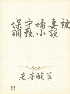 保守娇妻被开发调教小说