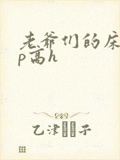 老爷们的床奴np高h