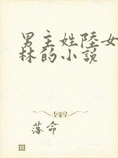 男主姓陆女主姓林的小说