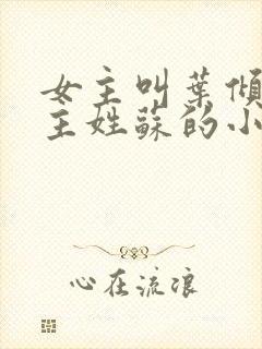 女主叫叶倾城男主姓苏的小说