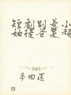 短剧别惹小小姐她后爸是超级女儿奴