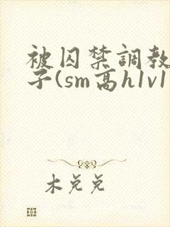 被囚禁调教的日子(sm高h1v1