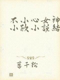 不小心女神女友小欣小说结局