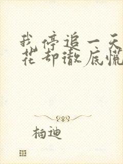 我停追一天,校花却彻底慌了