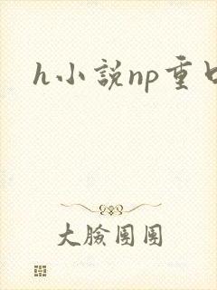 h小说np重口