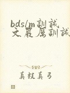 bds/m训诫文严厉训诫文