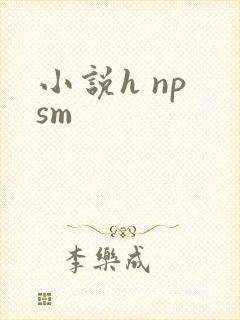 小说h np sm