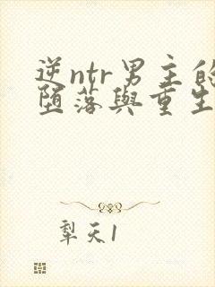 逆ntr男主的堕落与重生小说封面