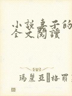 小说妻子的自述全文阅读