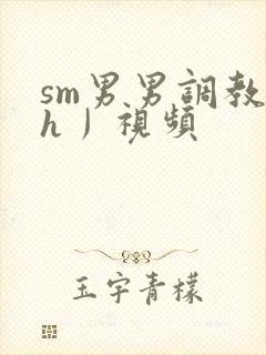 sm男男调教〈h丿视频