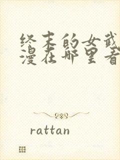 终末的女武神动漫在哪里看