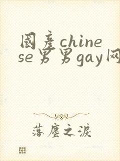 国产chinese男男gay网