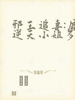 邪王追妻:废材逆天小姐多少字