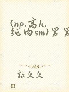 (np,高h,纯肉sm)男男封面
