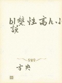 bl双性高h小说