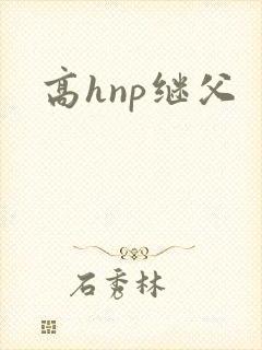 高hnp继父