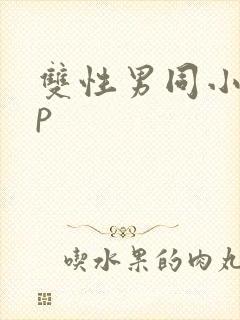 双性男同小说np