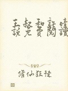 王叔和许晴的小说免费阅读无弹窗