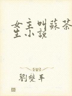 女主叫苏茶的重生小说