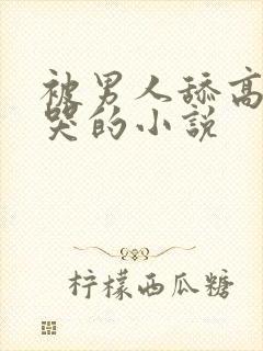 被男人舔高潮的哭的小说