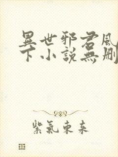 异世邪君风凌天下小说无删减版封面