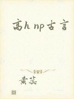 高h np古言